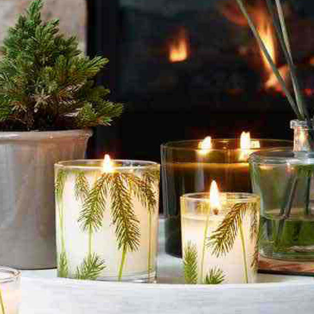 Thymes Frasier Fir Candle Pine Needle Glass Jar Aromatic Candle 2