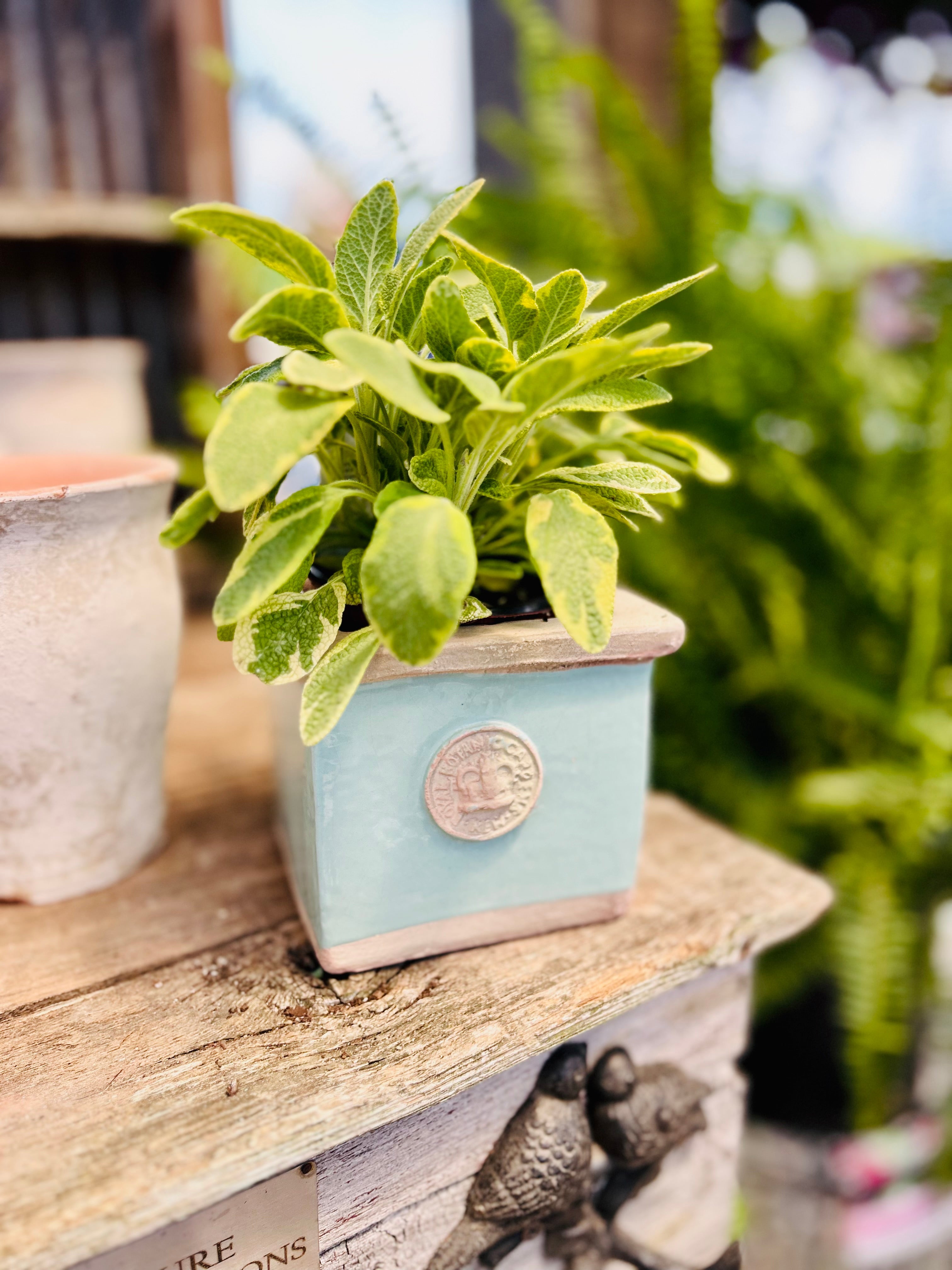 Kew Pottery – Chalet