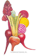 Botanical Interests Gourmet Blend Beet Organic Seeds