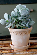 Kobenhavner Pot with Saucer 6.3" RAW Rosa