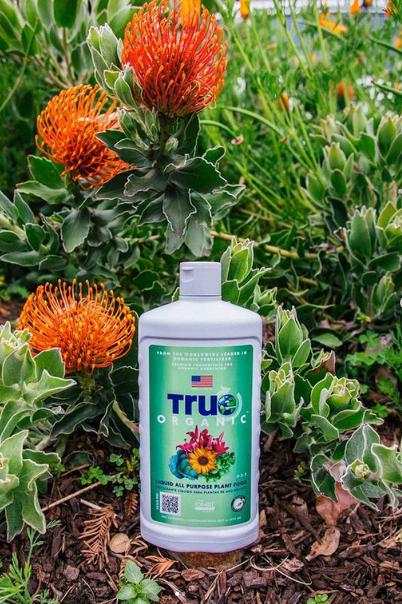 plant food & fertilizer True Organic Liquid All-Purpose Plant Food 16 oz