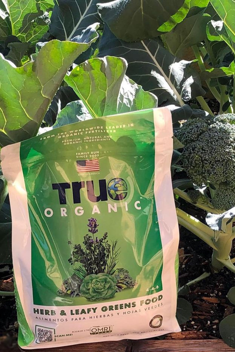 fertilizer for leafy plants True Organic Herb & Leafy Greens