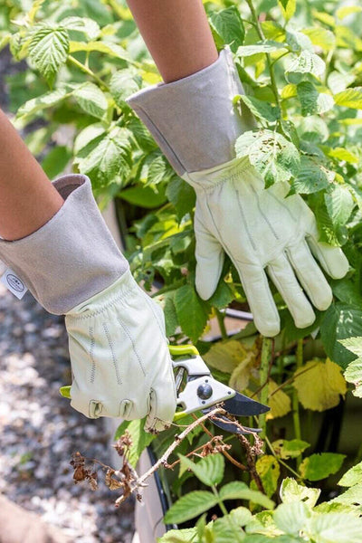 Garden Works Mid Cuff Gloves Extra Large