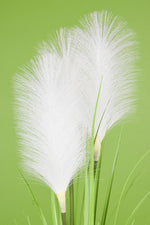 SILK BUSH REED GRASS 30"
