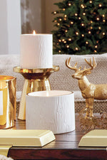 Thymes Frasier Fir Gilded Ceramic Poured Candle Petite