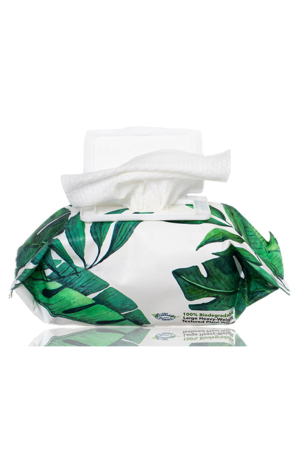 Southside Plants Houseplant Cleaning Wipes