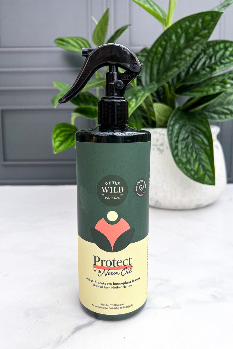 best spray for indoor plants We The Wild Protect Spray with Neem 17 fl oz – Chalet