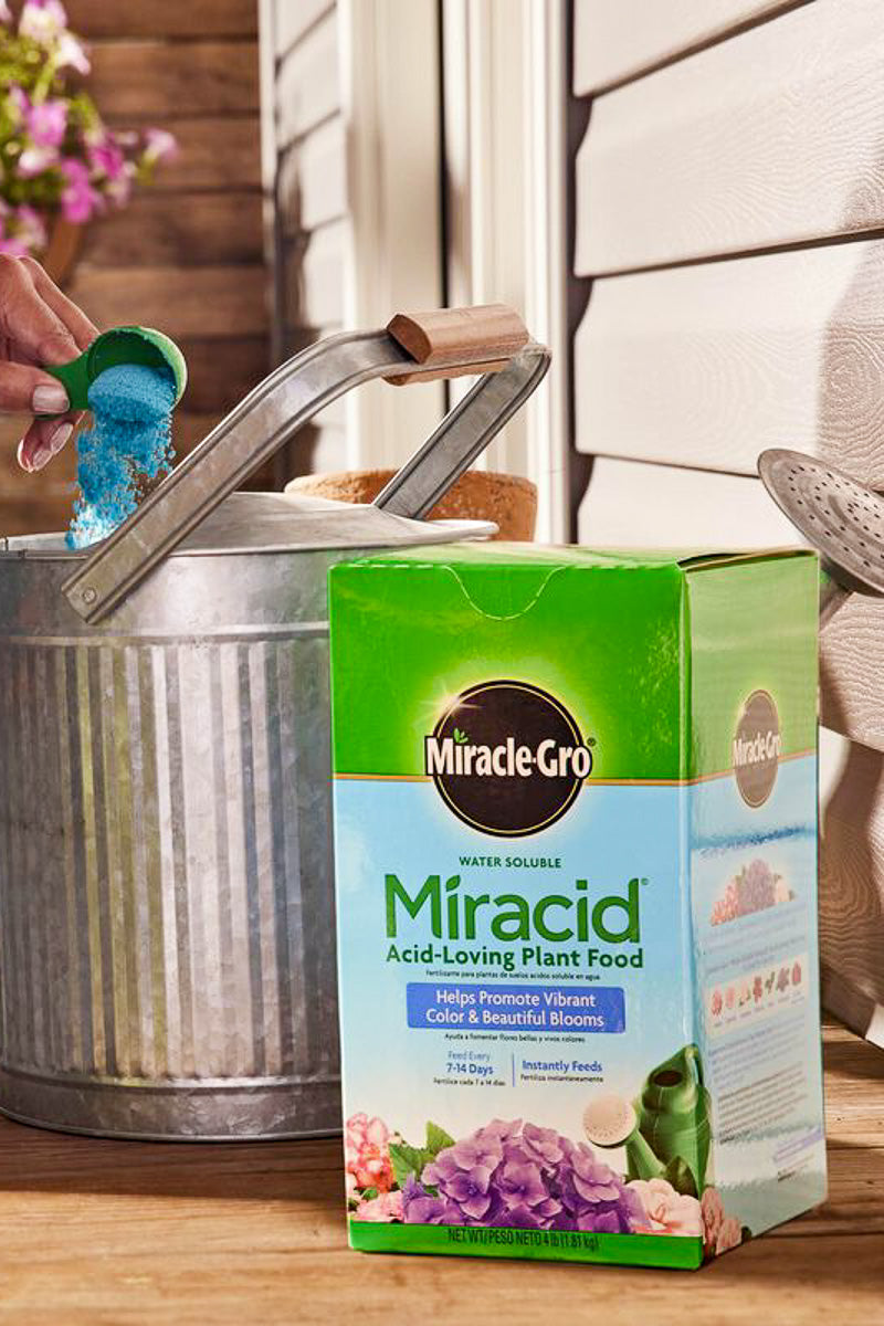 miracle gro fertilizer acid loving plants Miracle-Gro Water Soluble Miracid Acid-Loving Plant Food 30-10-10 1 lb