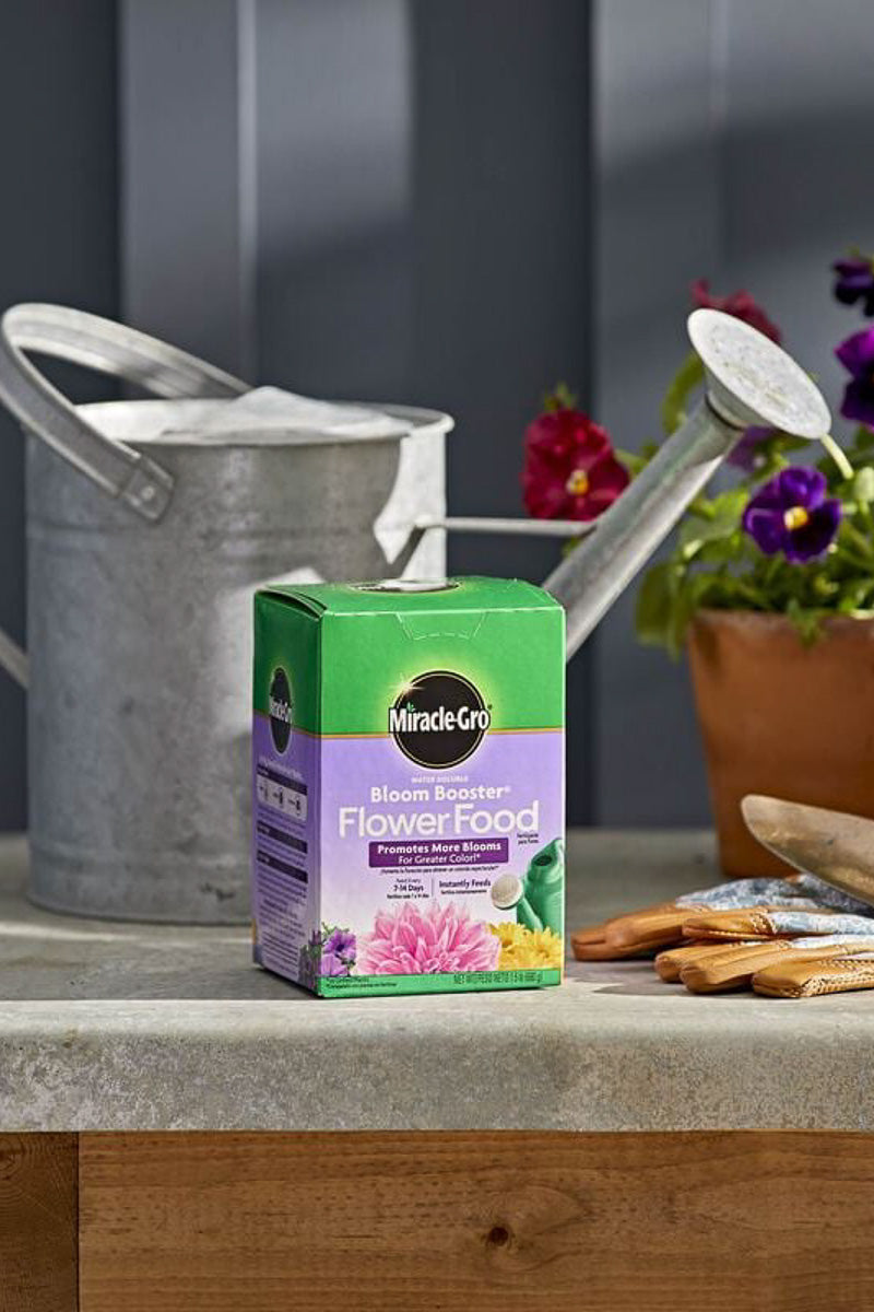 water soluble fertilizer for blooming plants Miracle-Gro Water Soluble Bloom Booster Flower Food 10-52-10 4 lb