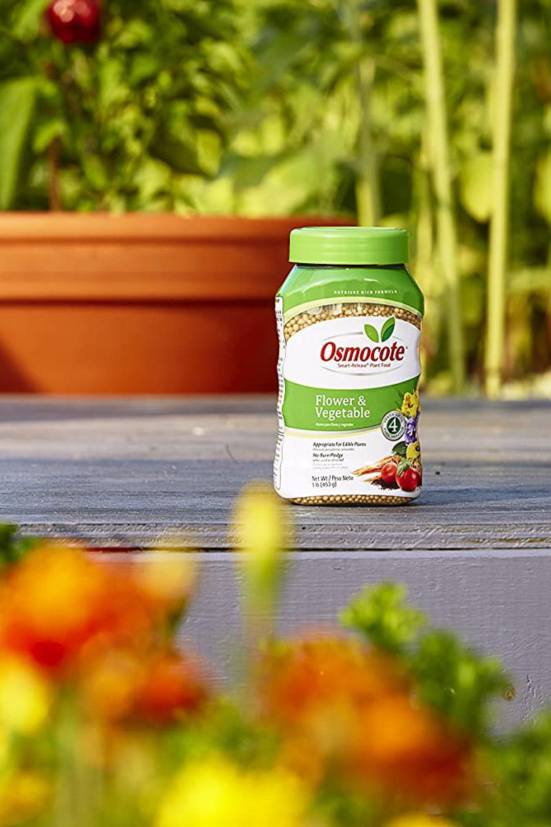 plant fertilizer osmocote Osmocote Smart-Release Plant Food Flower & Vegetable 2 lb