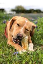 Earth Animal No-Hide Pork Roll Small