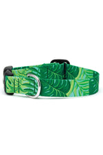 Up Country Palms Dog Collar Extra Small Narrow