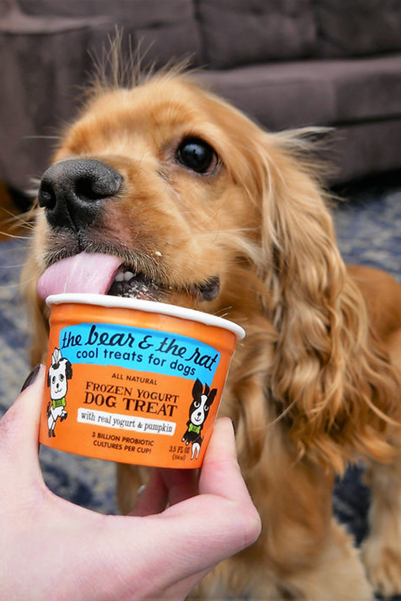 The Bear and The Rat Pumpin Cinnamon Frozen Yogurt Pack