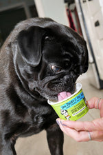 The Bear and The Rat Frozen Yogurt 4 Pack Bacon & Peanut Butter