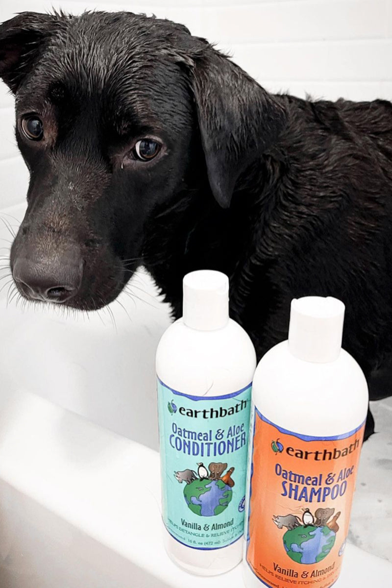 Earthbath Oatmeal & Aloe Conditioner Vanilla & Almond 16 oz – Chalet