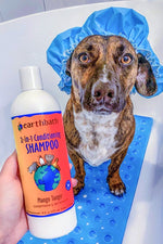 Earthbath Mango Tango 2-in-1 Conditioning Shampoo16 oz