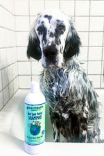 Earthbath Hot Spot Relief Shampoo w/ Tea Tree Oil & Aloe Vera 16 oz