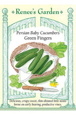 Renee's Garden Persian Baby Cucumbers Green Fingers Seeds
