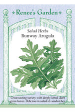 Renee's Garden Salad Herbs Runway Arugula Seeds