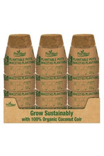 PlantBest Coconut Coir Pots 6/pk 4.5 in