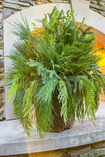 Holiday Pot, Greens 12" Fiber