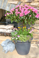 Chalet Signature | Outdoor | Spring Farmhouse