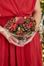 Aromatique The Smell of Christmas Decorative Fragrance Bag 7 oz