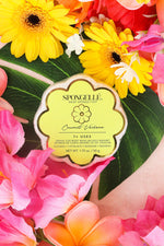 Spongelle Coconut Verbena Body Wash Infused Buffer