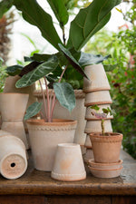 Helena Tall Pot with Saucer 5.5" RAW Grey