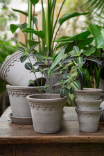 Kobenhavner Pot with Saucer 9.8"x8.5" RAW Grey