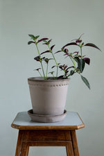 Helena Pot with Saucer 7.1"x6.3" RAW Grey