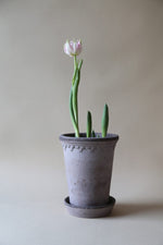 Kobenhavner Tall Pot With Saucer 7.1"x 9.4" Raw Grey