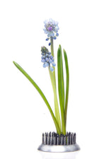 Chive Flower Arranger Frog Medium