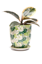 Chive Pot & Saucer Liberte 5 With Monstera 4.25"