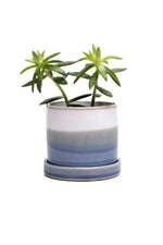 Chive Pot & Saucer Minute1 With Layers 3" Blue
