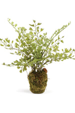 Faux Maidenhair Fern Drop-In 9"