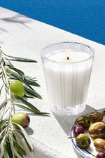 Nest Classic Candle Santorini Olive & Citron