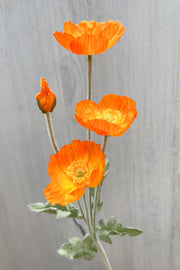 Poppy Silk Spray 23.6" Orange