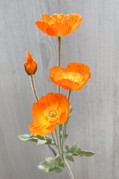 Poppy Silk Spray 23.6" Orange