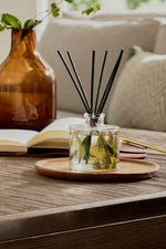 Thymes Frasier Fir Pine Needle Reed Diffuser Petite