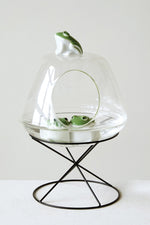Creative Co-Op Stoneware Floating Frog