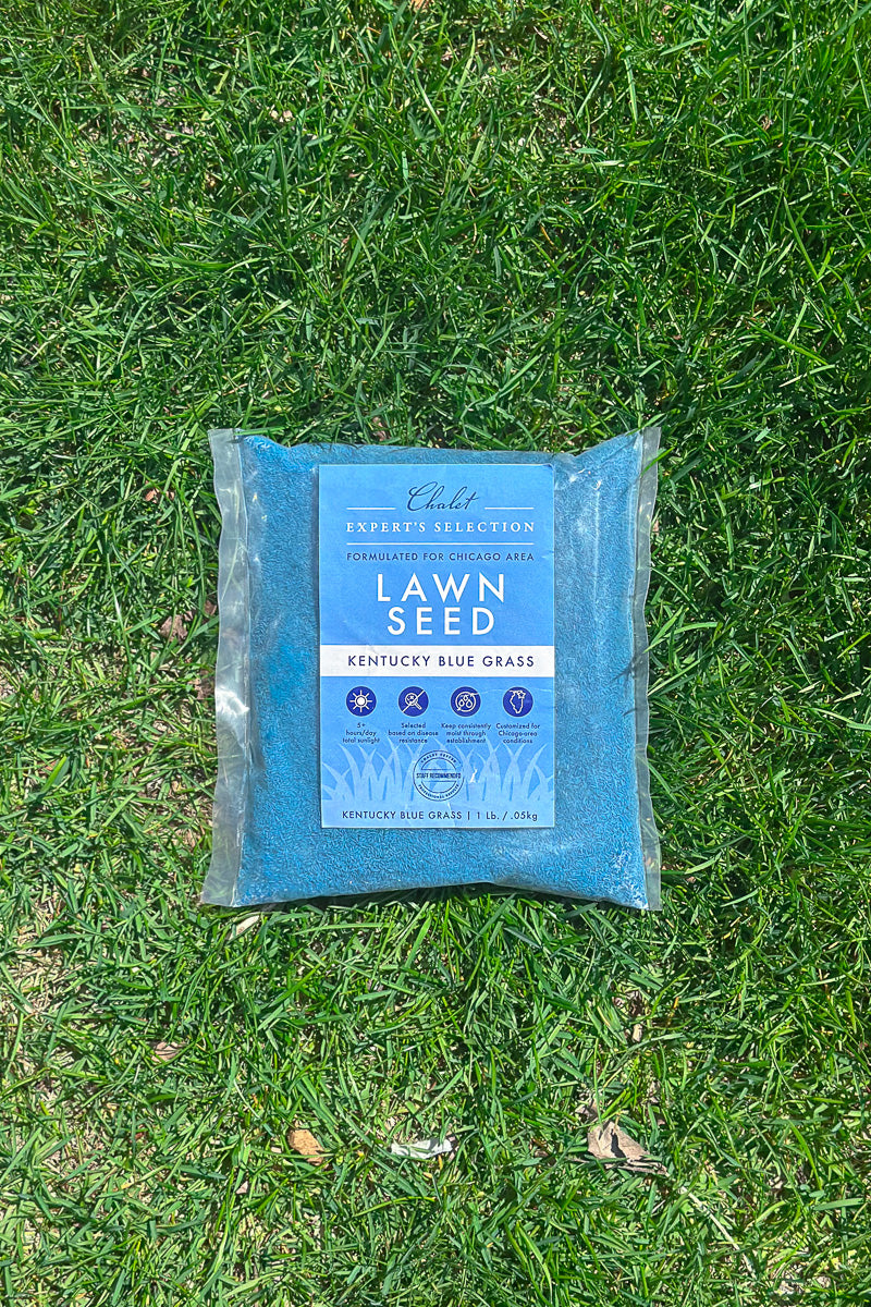 garden grass seed Chalet Lawn Seed Kentucky Blue Grass 1 lb