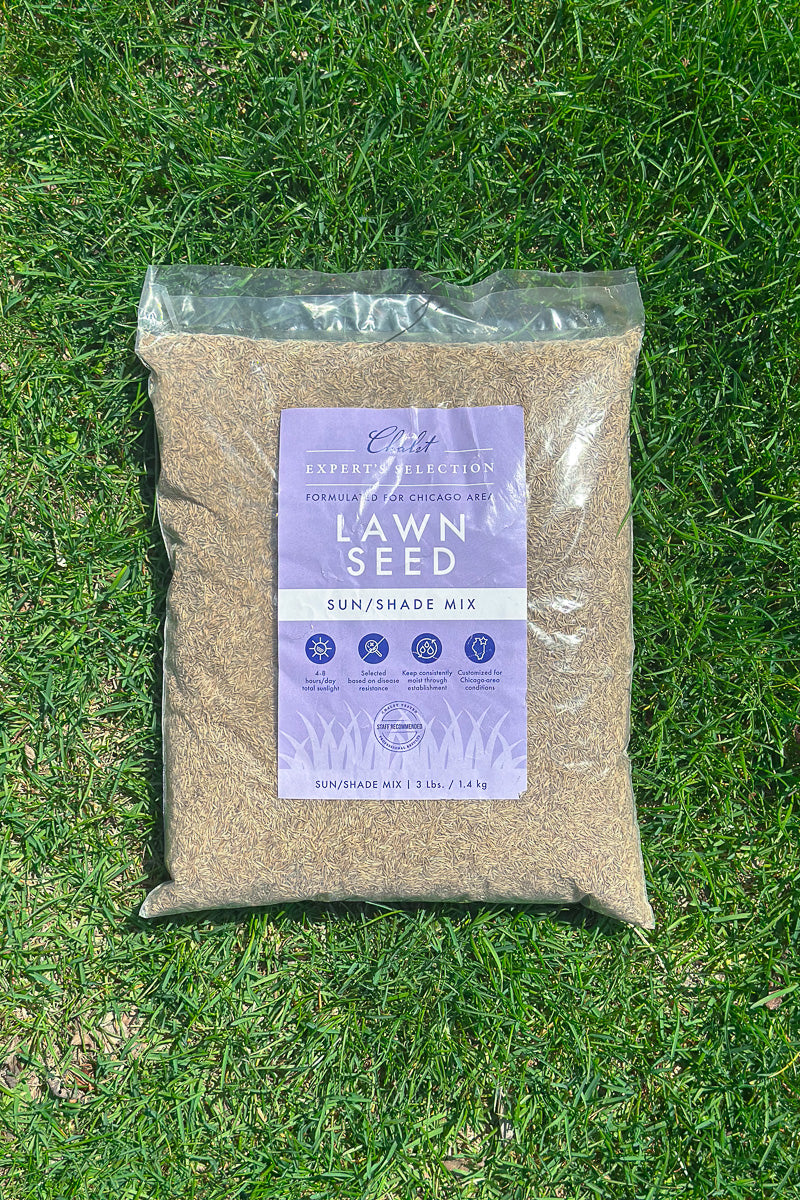 low sun grass seed Chalet Lawn Seed Sun/Shade Mix 3 lb