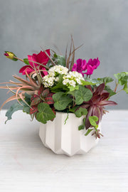 PRE-ORDER Chalet Signature Alluring Mother's Day Flowering 8"