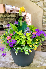 Chalet Signature | Outdoor | Summer Classic & Fresh Sun