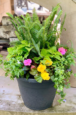 Chalet Signature | Outdoor | Summer Classic & Fresh Shade