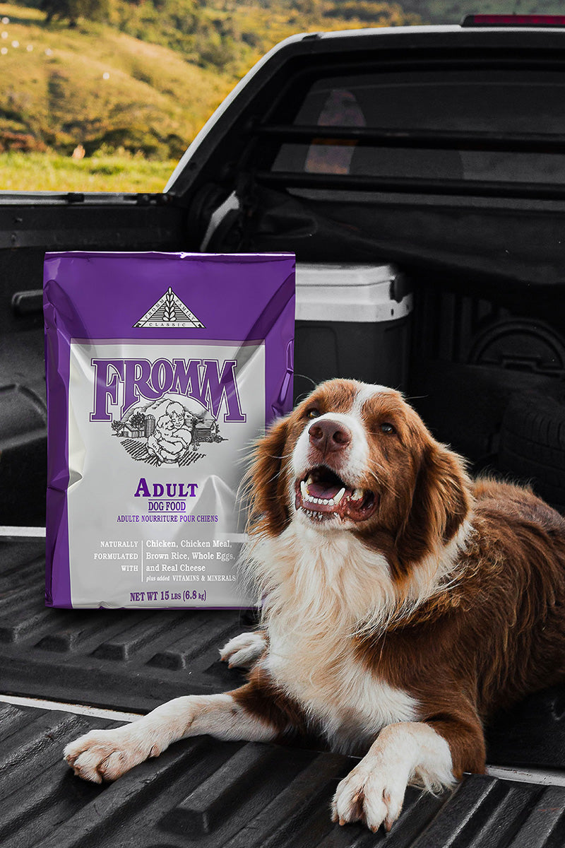 Fromm Classic Adult 15 lb – Chalet