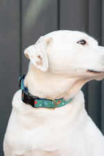 Up Country Pickleball Wide Collar Medium