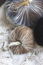 Plush Pumpkin Velvet Pumpkin 5" Stone