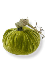Plush Pumpkin Velvet Pumpkin 6" Chartreuse